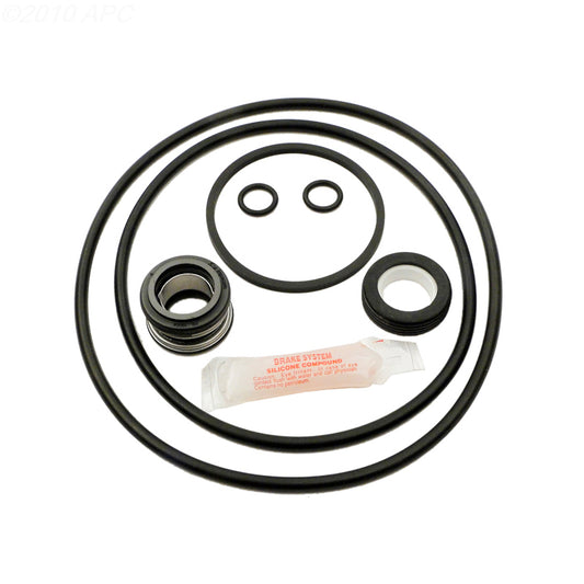 Overhead view of genuine Aladdin APCK1007 GO-KIT 14 Jacuzzi Magnum Pump Repair Kit components including mechanical seal and O-rings