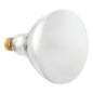 Front view of the APC 500W 120V R40 medium-base pool light replacement bulb for Amerlite and Hayward fixtures.