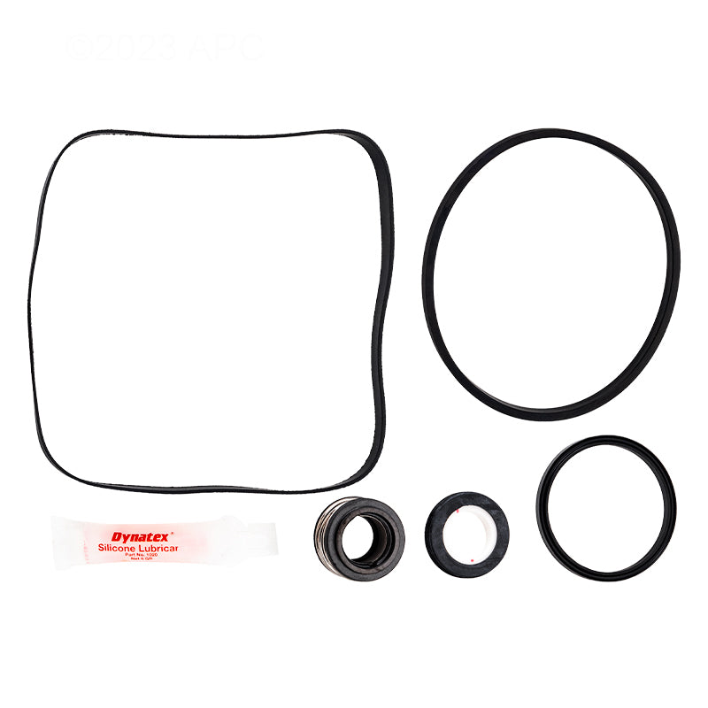 Overhead View of genuine APC APCK1001 Hayward Max-Flo Pump Repair Kit components including seals and O-rings