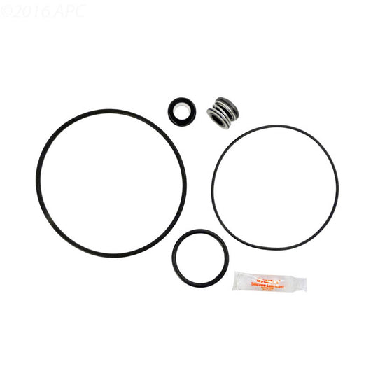 APC APCK1180 Hayward Matrix Pump Repair Kit with Seals O Rings and Lubricant