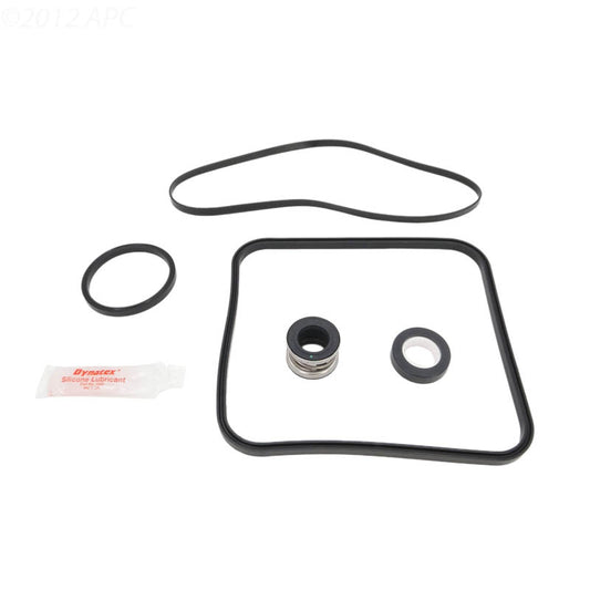 APC APCK1024A APCK1024A Pool Pump Repair Kit - Complete Kit