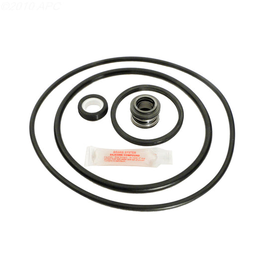 APC APCK1018 APCK1018 Pool Pump Repair Kit - Complete Kit