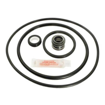 APC APCK1018 PacFab Pinnacle Pump Repair Kit - Shaft Seal and O-Ring Component Detail