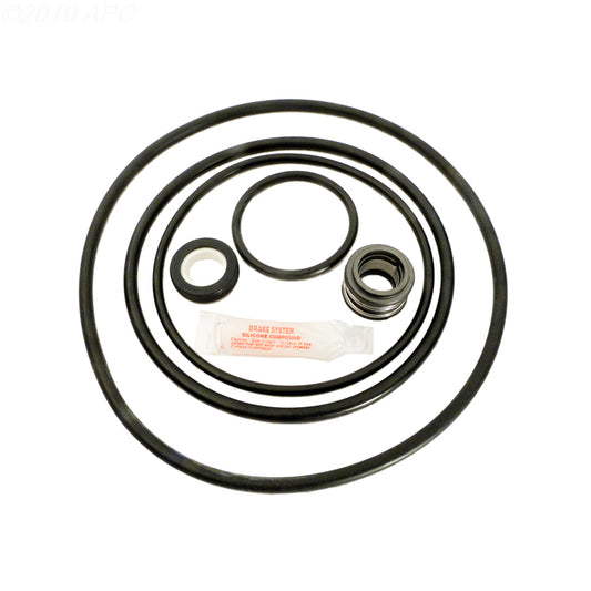 APC APCK1043 APCK1043 Pool Pump Repair Kit - Complete Kit