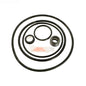 APC APCK1043 APCK1043 Pool Pump Repair Kit - Complete Kit