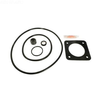 APC APCK1057 APCK1057 Pool Pump Repair Kit - Complete Kit