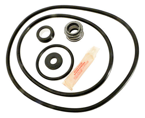 APC APCK1057 Sta-Rite P2R P2RA Repair Kit - Full Kit Contents with Viton Seal and O-Rings