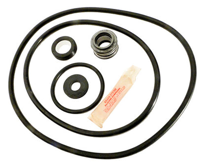 APC APCK1057 Sta-Rite P2R P2RA Repair Kit - Full Kit Contents with Viton Seal and O-Rings