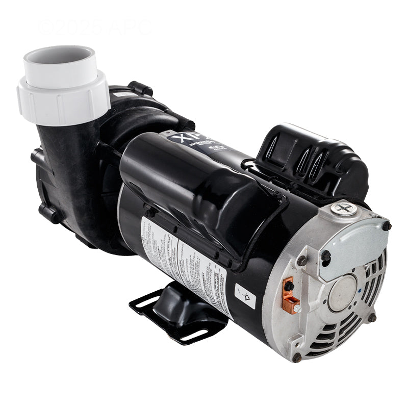 Aqua-Flo Flo-Master XP2 2HP 230V 2-Speed Spa Pump (AF061205002040) — Rear angle view detailing the metal motor end housing, electrical conduit connection entry, and secure thru-bolts.