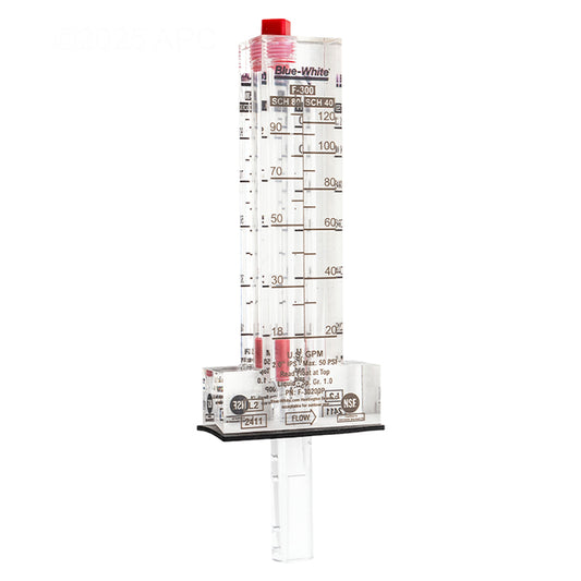 Blue-White F-300 Flowmeter 2" 20-120 GPM F-30200P - Front upright view displaying the clear acrylic body, red internal float, and printed dual GPM/LPM measurement scales