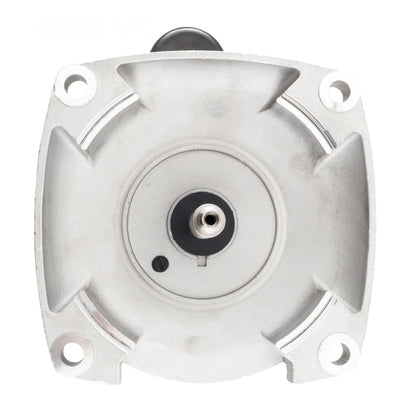 Century B2855 2HP square flange pool pump motor, front view showing mounting flange and stainless steel shaft