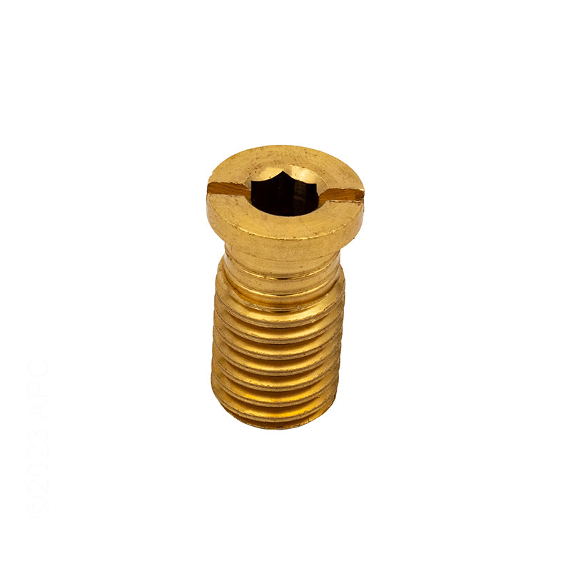 GLI Brass Anchor Screw for Safety Pool Covers - Front View