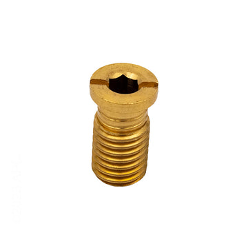GLI Brass Anchor Screw for Safety Pool Covers - Front View