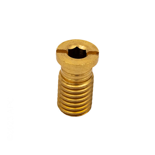 GLI Brass Anchor Screw for Safety Pool Covers - Front View