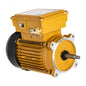 Hayward SPX2607Z1MTG 1 HP TEFC 56J C-Flange Pool Pump Motor - Front View
