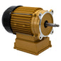 Side front view of genuine Hayward SPX2610Z1MTG 1.5 THP TEFC gold pool pump motor showing the threaded shaft and C-Flange
