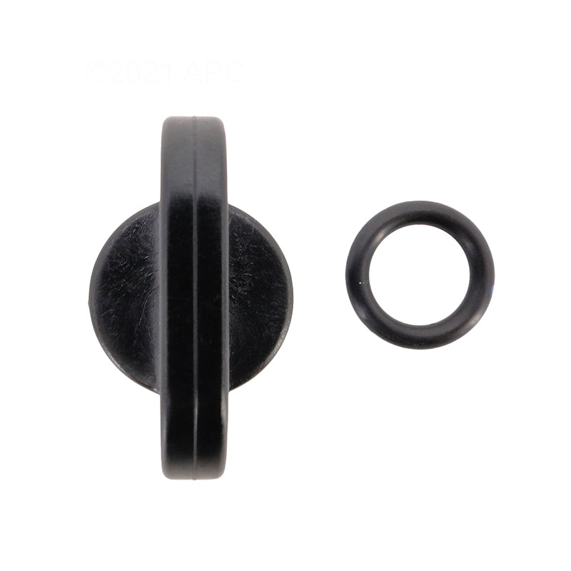 Top view of genuine Hayward SPX4000FG pool pump drain plug and sealing gasket separated