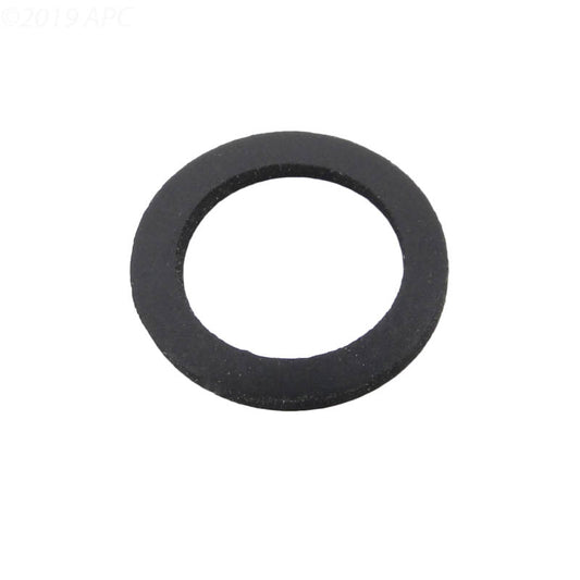 Front view of genuine Pentair 074629 pool pump drain flat washer gasket