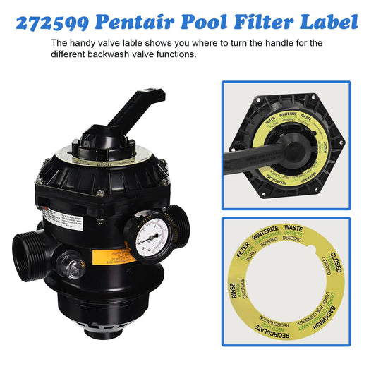 Pentair 272599Z Valve Label showing all 6 positions: Filter, Backwash, Rinse, Recirculate, Waste, and Closed for Tagelus filters.