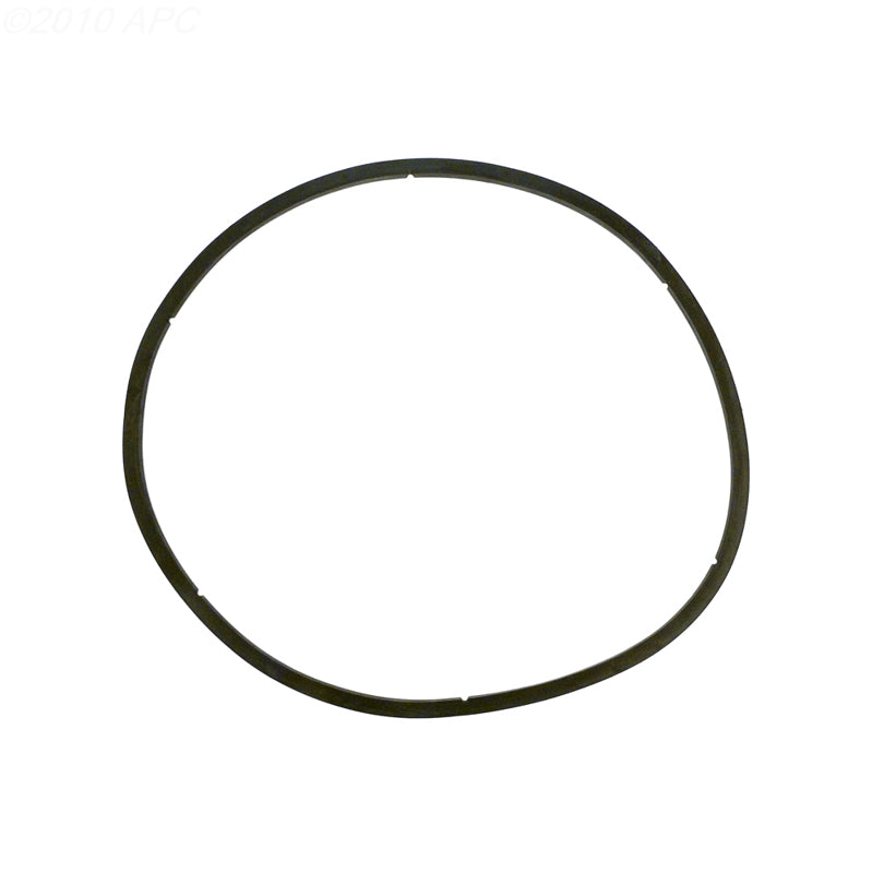 Genuine Pentair 350166Z EQ Series commercial pump strainer lid gasket front view.