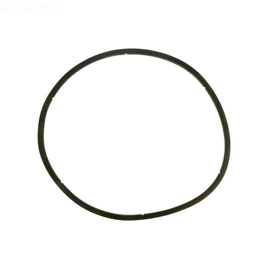 Genuine Pentair 350166Z EQ Series commercial pump strainer lid gasket front view.