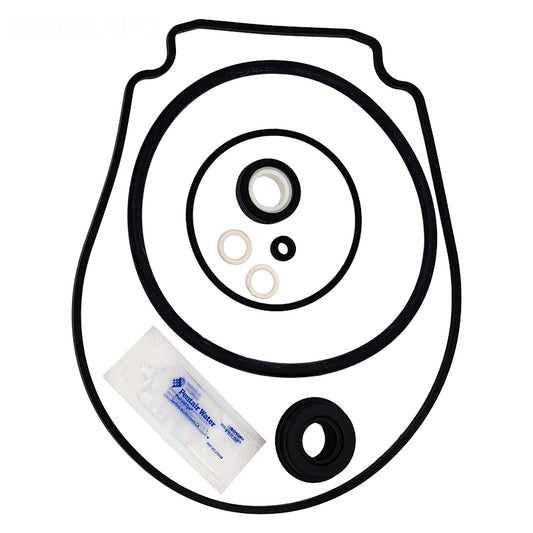 Pentair 356198 (GO-KIT32) Complete Seal Kit for WhisperFlo and IntelliFlo Pumps - Includes Salt and Ozone Resistant Shaft Seal.
