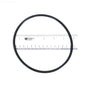 Genuine Pentair 357255Z SuperFlo and OptiFlo pump lid O-ring with inch scale detail view.