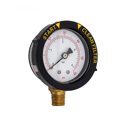 Pentair 98209800 Air Relief Valve - Close-Up of Valve Body and Gauge Port