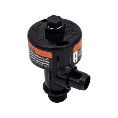 Pentair 98209800 High Flow Manual Air Relief Valve - Front View