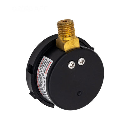 Pentair 98209800 Air Relief Valve - Rear View Showing Mounting Thread