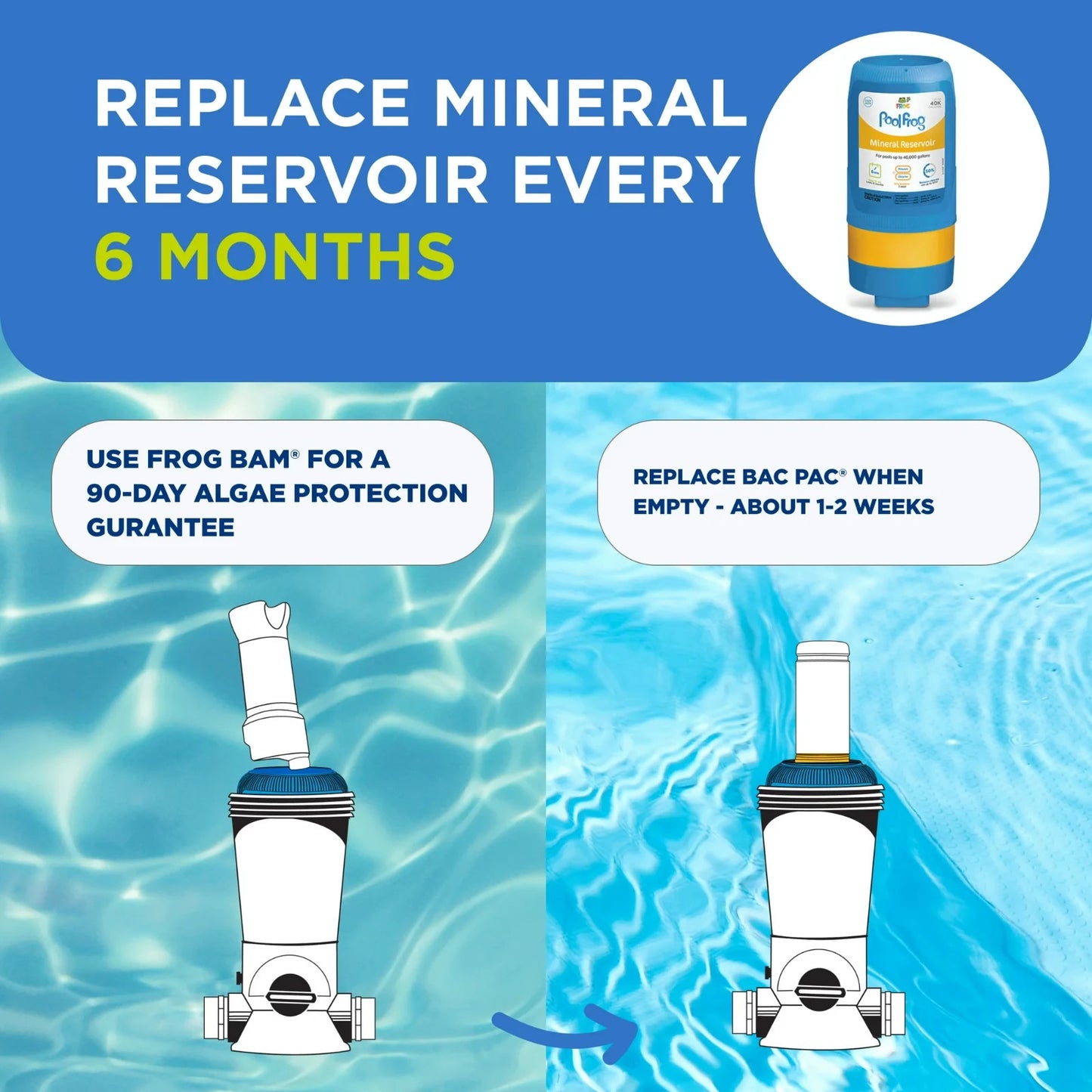 Maintenance infographic showing Pool Frog 5400 replacement cycles: Mineral Reservoir every 6 months, Bac Pac every 2 weeks, and Frog Bam for 90-day algae protection.