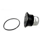 S.R. Smith FiberStars Treo LED Replacement Lamp (FLEDLAUC) with O-ring for color-changing pool lights at Al's Cool Pool Store.